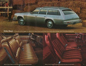 1976 Chevrolet Chevelle (Cdn)-11.jpg